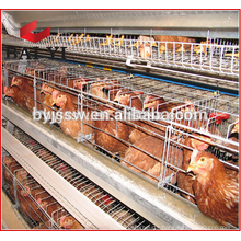 South Africa Distributor Agricultural Equipment Layer Cage